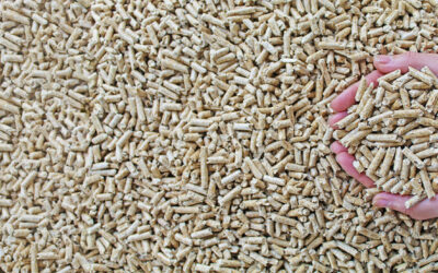 8 razones para elegir una estufa de pellets este invierno